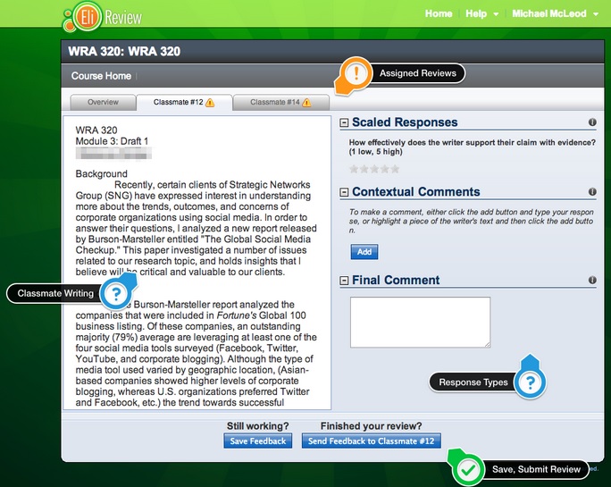 Eli Reivew image shows a field for giving a ranking and fields for open-ended comments, both similar to SET formats.