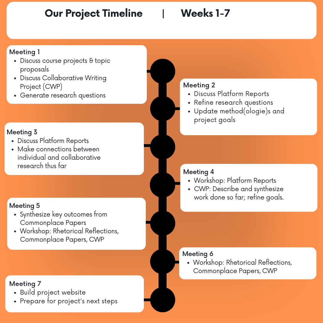 A concise timeline of how we developed our project in seven meetings over seven weeks.
