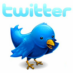 Twitter logo and icon